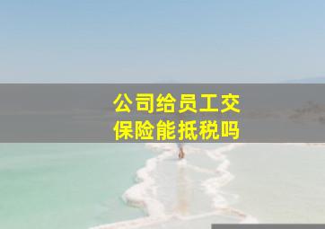 公司给员工交保险能抵税吗