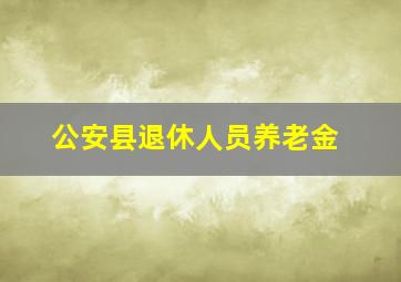 公安县退休人员养老金