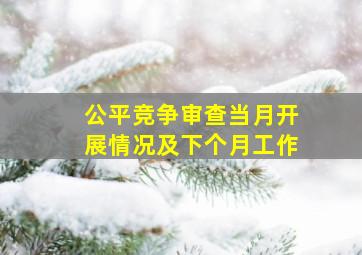 公平竞争审查当月开展情况及下个月工作