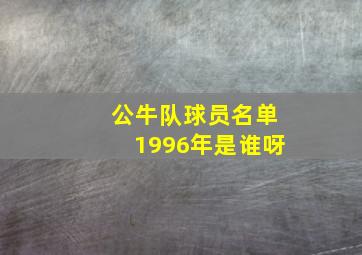 公牛队球员名单1996年是谁呀