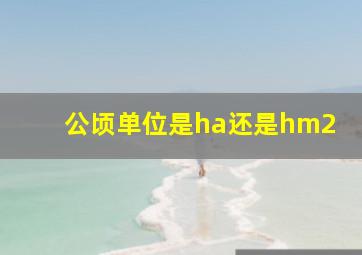 公顷单位是ha还是hm2