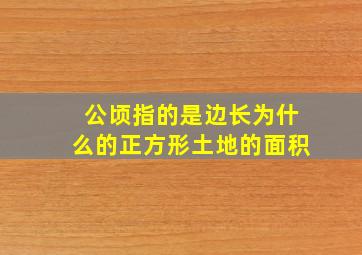 公顷指的是边长为什么的正方形土地的面积