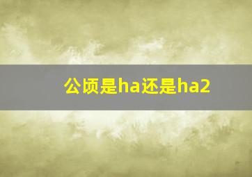 公顷是ha还是ha2