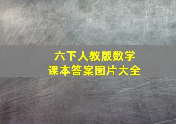 六下人教版数学课本答案图片大全