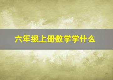 六年级上册数学学什么