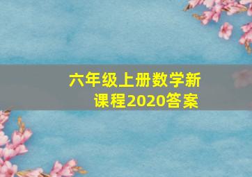 六年级上册数学新课程2020答案