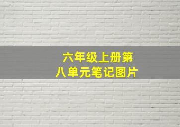 六年级上册第八单元笔记图片