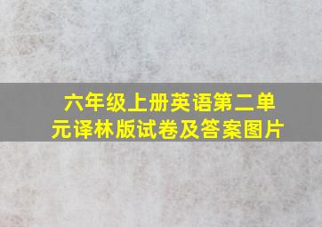 六年级上册英语第二单元译林版试卷及答案图片