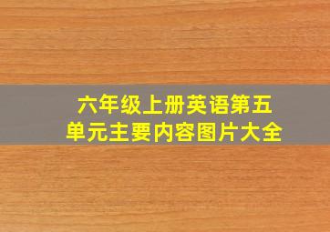 六年级上册英语第五单元主要内容图片大全