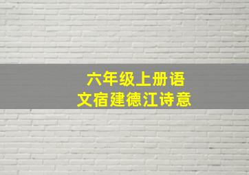 六年级上册语文宿建德江诗意