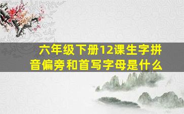 六年级下册12课生字拼音偏旁和首写字母是什么