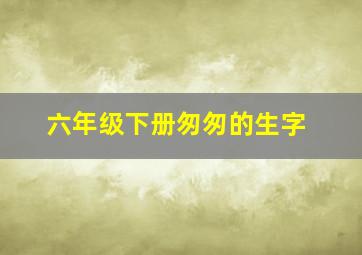 六年级下册匆匆的生字