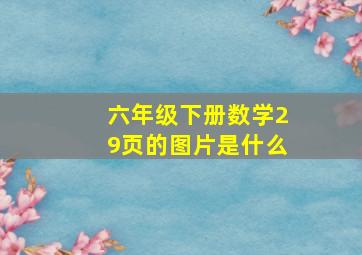 六年级下册数学29页的图片是什么