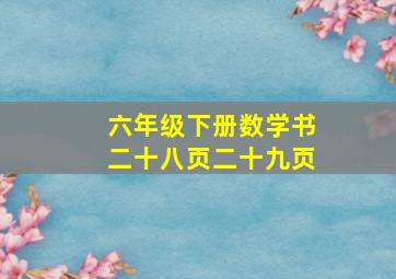 六年级下册数学书二十八页二十九页