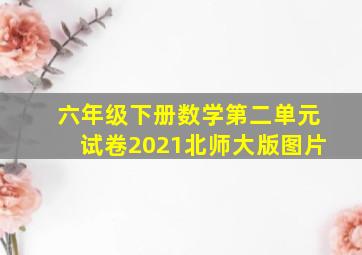 六年级下册数学第二单元试卷2021北师大版图片