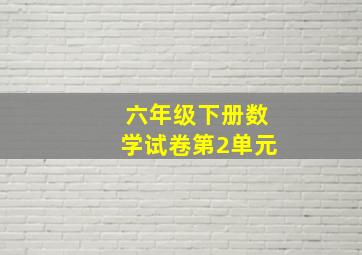 六年级下册数学试卷第2单元