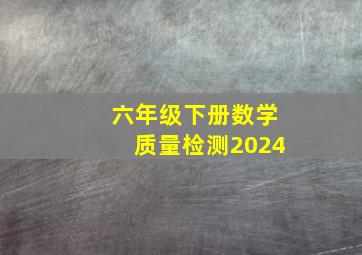 六年级下册数学质量检测2024