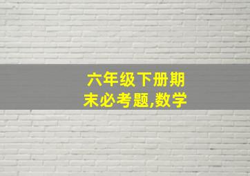 六年级下册期末必考题,数学