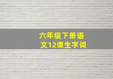 六年级下册语文12课生字词