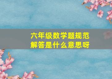 六年级数学题规范解答是什么意思呀