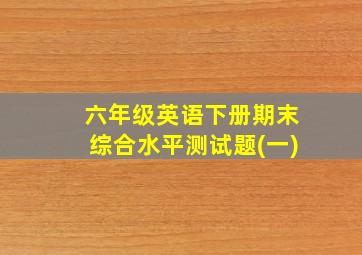 六年级英语下册期末综合水平测试题(一)