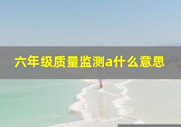 六年级质量监测a什么意思