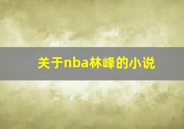 关于nba林峰的小说