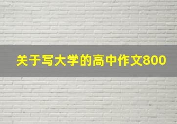 关于写大学的高中作文800