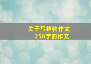 关于写植物作文250字的作文