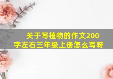 关于写植物的作文200字左右三年级上册怎么写呀