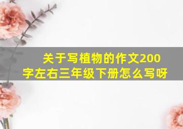 关于写植物的作文200字左右三年级下册怎么写呀