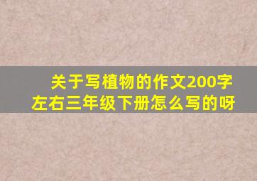 关于写植物的作文200字左右三年级下册怎么写的呀