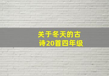 关于冬天的古诗20首四年级