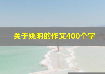 关于姚明的作文400个字