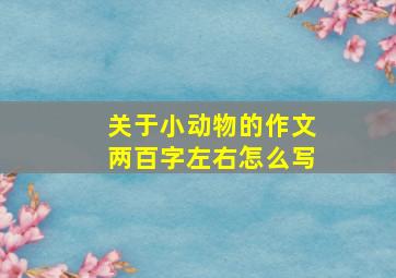 关于小动物的作文两百字左右怎么写