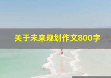 关于未来规划作文800字