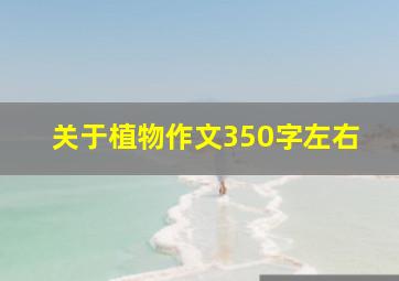 关于植物作文350字左右