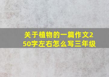 关于植物的一篇作文250字左右怎么写三年级