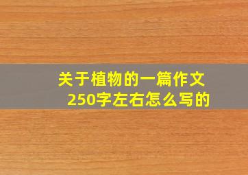 关于植物的一篇作文250字左右怎么写的