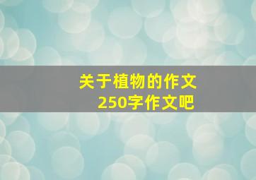 关于植物的作文250字作文吧