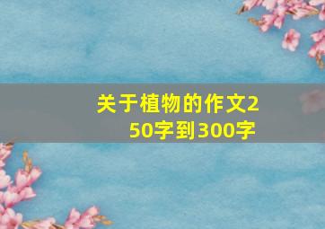 关于植物的作文250字到300字