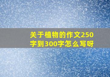 关于植物的作文250字到300字怎么写呀