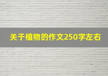 关于植物的作文250字左右