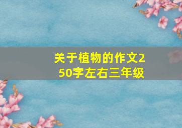 关于植物的作文250字左右三年级