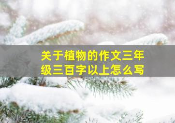 关于植物的作文三年级三百字以上怎么写