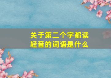 关于第二个字都读轻音的词语是什么