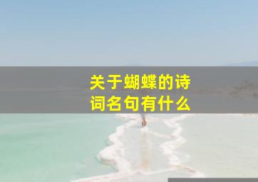 关于蝴蝶的诗词名句有什么