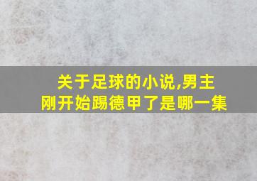 关于足球的小说,男主刚开始踢德甲了是哪一集