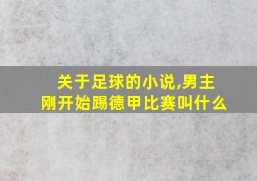 关于足球的小说,男主刚开始踢德甲比赛叫什么