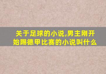 关于足球的小说,男主刚开始踢德甲比赛的小说叫什么